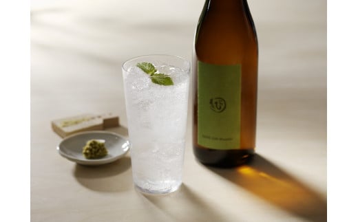 酒ジンワサビ ～SAKE GIN WASABI～ 720ml×6_Ew010 1491085 - 福岡県久留米市