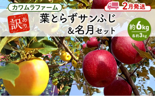 りんご 【2月発送】カワムラファーム 訳あり 葉とらず サンふじ & 名月 セット 約6kg 【弘前市産 青森りんご】 青森 弘前 1492930 - 青森県弘前市