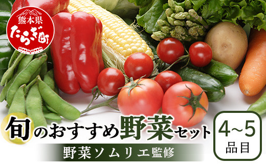 【数量限定】野菜ソムリエ 監修 旬の おすすめ 野菜 セット ４〜5品 (1〜2名様向け) 野菜 獲れたて 直送 旬 熊本県 多良木町 024-0801 1513463 - 熊本県多良木町