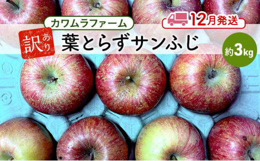 りんご 【12月発送】カワムラファーム 訳あり 葉とらず サンふじ 約3kg 【弘前市産 青森りんご】 青森 弘前 1492910 - 青森県弘前市