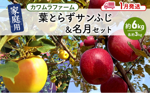 りんご 【1月発送】カワムラファーム 家庭用 葉とらず サンふじ & 名月 セット 約6kg 【弘前市産 青森りんご】 青森 弘前 1492932 - 青森県弘前市