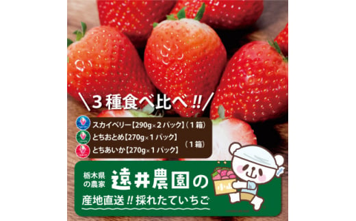 栃木県産のいちご3種食べ比べ|スカイベリー2パック(1箱)・とちおとめ・とちあいか各1パック(1箱)【1518934】 1492737 - 栃木県小山市