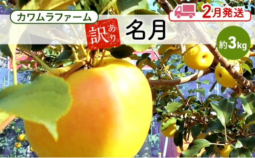 りんご 【2月発送】カワムラファーム 訳あり 名月 約3kg 【弘前市産 青森りんご】 青森 弘前 1492915 - 青森県弘前市