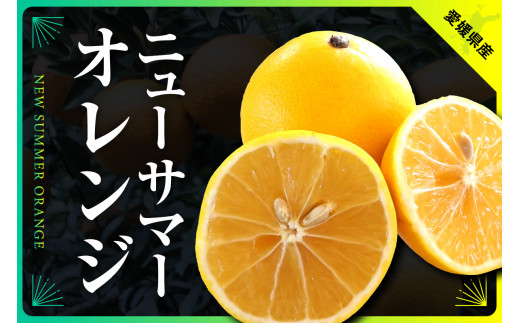 ニューサマーオレンジ　約7kg(ご家庭用)＜C31-26＞_ 訳アリ わけあり ワケアリミカン みかん 日向夏 小夏 フルーツ 果物 くだもの 家庭用 人気 柑橘 かんきつ 不揃い 規格外 傷 愛媛 旬 産地直送 産直 季節限定 【1103591】 1261614 - 愛媛県八幡浜市