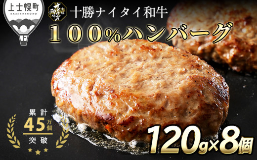 十勝ナイタイ和牛 100%ハンバーグ 120g×8個 発送月が選べる 北海道産 和牛肉 5・4等級黒毛和牛使用 冷凍 ［016-N61］ ※オンライン申請対応 354732 - 北海道上士幌町