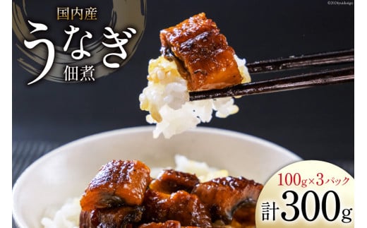 うなぎ 佃煮 国産 静岡 100g ×3パック 計300g [静岡鰻販売 静岡県 吉田町 22424152] 鰻 ウナギ 真空パック つまみ 酒の肴 惣菜 おかず ご飯のお供  冷凍 564500 - 静岡県吉田町