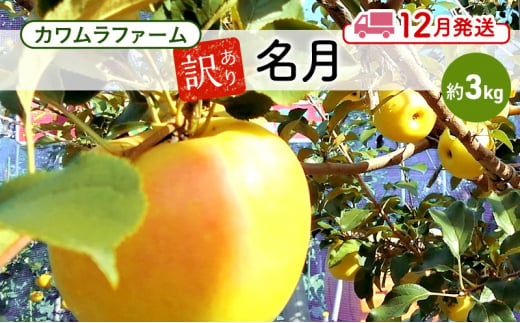 りんご 【12月発送】カワムラファーム 訳あり 名月 約3kg 【弘前市産 青森りんご】 青森 弘前 1492913 - 青森県弘前市