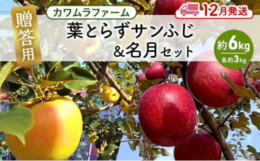 りんご 【12月発送】カワムラファーム 贈答用 葉とらず サンふじ & 名月 セット 約6kg 【弘前市産 青森りんご】 青森 弘前 1492934 - 青森県弘前市