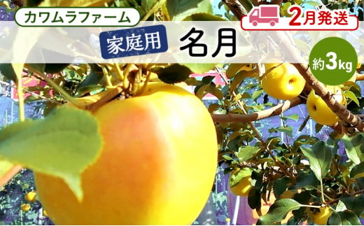 りんご 【2月発送】カワムラファーム 家庭用 名月 約3kg 【弘前市産 青森りんご】 青森 弘前 1492921 - 青森県弘前市