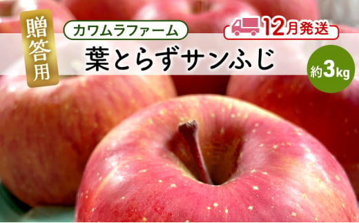 りんご 【12月発送】カワムラファーム 贈答用 葉とらず サンふじ 約3kg 【弘前市産 青森りんご】 青森 弘前 1492922 - 青森県弘前市