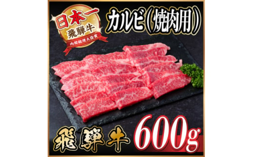 飛騨牛 カルビ 焼肉 600g【1543783】 1492988 - 岐阜県羽島市