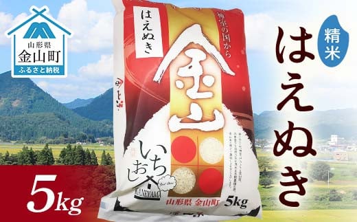 令和6年産 金山産米 はえぬき 【精米】（5kg）米 お米 白米 ご飯 精米 ブランド米 送料無料 東北 山形 金山町 F4B-0562