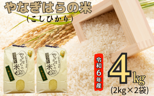 【令和6年産】「やなぎはらの米　こしひかり」4㎏ (6-39A)