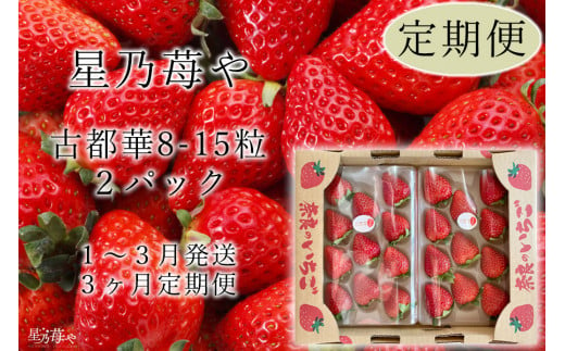 定期便 いちご 奈良県のいちご古都華2パック3ヶ月定期便 2025年1月発送開始 // /苺 いちご イチゴ 古都華 奈良 奈良県 広陵町 生産者直送 直送 厳選 数量限定 旬 フルーツ 甘い 完熟 果物 3ヶ月定期便