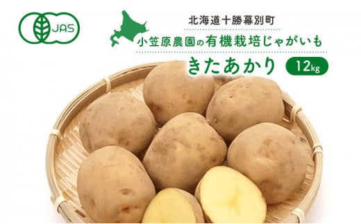 小笠原農園の有機じゃがいも「きたあかり」12kg【北海道十勝幕別】≪2024年秋出荷先行予約≫ [№5749-0933] 1143202 - 北海道幕別町