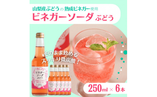 山梨産ぶどう100%の熟成ビネガーで造った!そのまま飲める＜ビネガーソーダぶどう6本セット＞【1537854】 1492811 - 山梨県山梨県庁