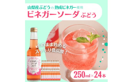 山梨産ぶどう100%の熟成ビネガーで造った!そのまま飲める＜ビネガーソーダぶどう24本セット＞【1537865】 1492813 - 山梨県山梨県庁