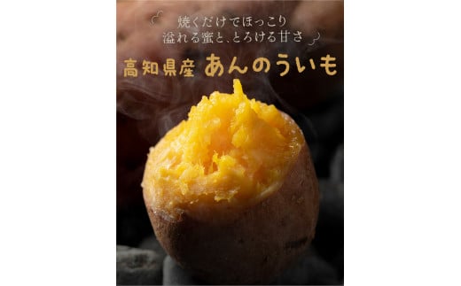 【B06064】高知県産　あんのういも　約3kg【安納紅芋】　特産品【※10月下旬頃から発送】 1480356 - 高知県高知県庁