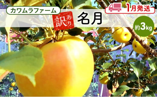 りんご 【1月発送】カワムラファーム 訳あり 名月 約3kg 【弘前市産 青森りんご】 青森 弘前 1492914 - 青森県弘前市