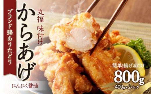 [11月配送]丸福味付け! ありたどりのからあげ800g(400g×2パック) 唐揚げ 鶏もも 簡単調理 冷凍 味付き から揚げ 小分け おつまみ ジューシー 佐賀県 弁当 惣菜 国産 [A120]