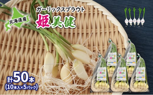 発芽にんにく 北海道産 ガーリックスプラウト姫美健 計50本 (10本入×5パック) にんにく ガーリック 野菜 健康 1492867 - 北海道陸別町