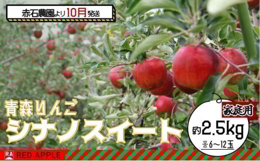 りんご 【 10月発送 】 家庭用 シナノスイート 約 2.5kg 【 弘前市産 青森りんご 】  果物 フルーツ 食後 デザート 果汁たっぷり ジューシー 旬の果物 1492945 - 青森県弘前市