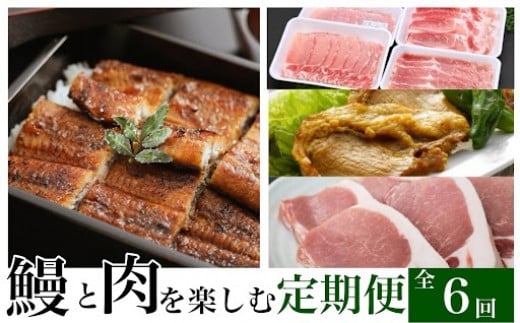 [定期便・全6回]肝付町鰻と肉を楽しむ定期便 鹿児島 豚肉 黒豚 しゃぶしゃぶ セット ロース バラ スライス 鰻 うなぎ セレクト[一般社団法人きもつき宇宙協議会]