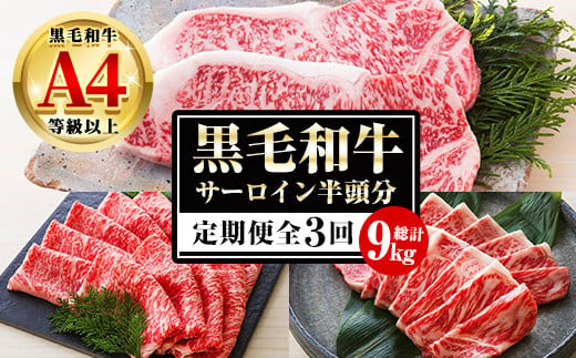 【3か月定期便】カットを選べる！鹿児島県産 黒毛和牛 サーロイン 半頭分 9kg（3kg×3回)  A4等級以上 ！ステーキ カット スライス カット 焼肉 カット から選べます！ 冷凍 国産 鹿児島県産 黒毛和牛すき焼き しゃぶしゃぶ 焼肉 半頭分 定期便【G-003H】