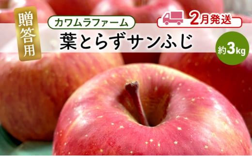 りんご 【2月発送】カワムラファーム 贈答用 葉とらず サンふじ 約3kg 【弘前市産 青森りんご】 青森 弘前 1492924 - 青森県弘前市