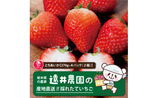 産地直送!!栃木県遠井農園の美味しいとちあいか＜270g×4パック(2箱)＞【1518939】 1492742 - 栃木県小山市