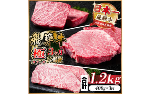 ＜毎月定期便＞飛騨牛 極ステーキ定期便　計約1.2kg＜冷蔵便＞全3回【4056912】 1492992 - 岐阜県羽島市