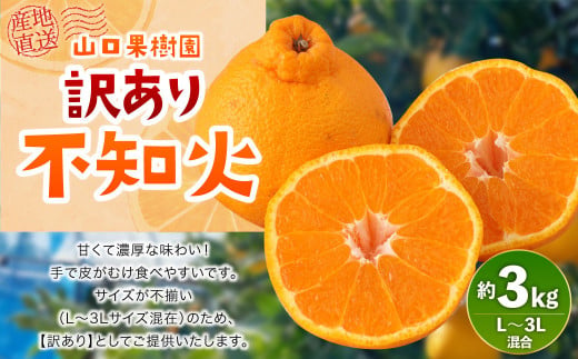 【先行受付】山口果樹園 訳あり 不知火 約3kg L～3L混合【2025年2月上旬から4月上旬発送予定】不知火 しらぬい 蜜柑 くだもの フルーツ 果物 1482902 - 熊本県宇城市