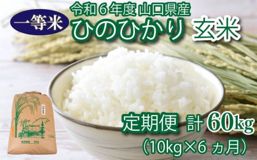 【 定期便 6ヶ月 】米 10kg 計 60kg ひのひかり 新米 玄米 お米 月1回お届け 大容量 下関 山口 ヒノヒカリ