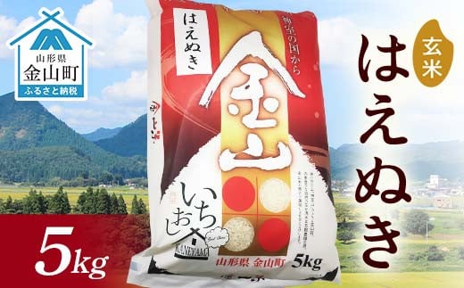 令和6年産 金山産米 はえぬき 【玄米】（5kg）米 お米 ご飯 玄米 ブランド米 送料無料 東北 山形 金山町 F4B-0563 1494754 - 山形県金山町