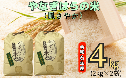 【令和6年産】「やなぎはらの米　風さやか」4㎏ (6-41A) 1492483 - 長野県飯山市