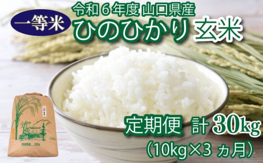 【 定期便 3ヶ月 】米 10kg 計 30kg ひのひかり 新米 玄米 お米 月1回お届け 大容量 下関 山口 ヒノヒカリ