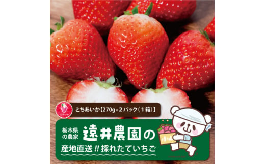 産地直送!!栃木県遠井農園の美味しいとちあいか＜270g×2パック(1箱)＞【1518940】 1492743 - 栃木県小山市