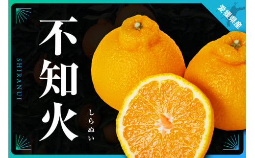 三代目がつくる 不知火 5kg ＜C31-3＞_ ミカン 蜜柑 みかん しらぬい 柑橘 柑橘類 フルーツ 果物 くだもの 人気 美味しい 愛媛県 八幡浜市 ふるさと 【1042518】 393989 - 愛媛県八幡浜市