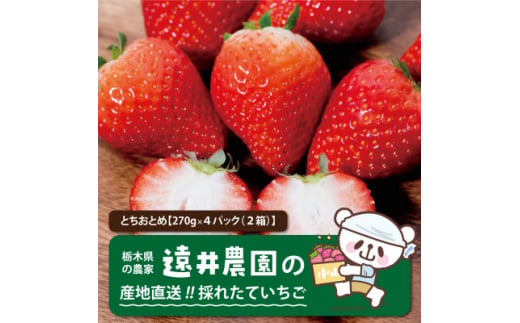 産地直送!!栃木県遠井農園の美味しいとちおとめ＜270g×4パック(2箱)＞【1518944】 1492746 - 栃木県小山市