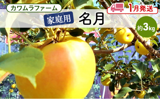 りんご 【1月発送】カワムラファーム 家庭用 名月 約3kg 【弘前市産 青森りんご】 青森 弘前 1492920 - 青森県弘前市