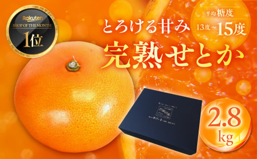 ≪先行予約≫ 大トロみかん『木熟せとか』黒の化粧箱（大）　厳選プレミアム　2.8kg