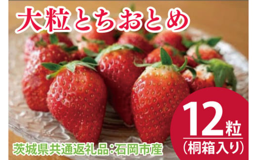 【先行予約】桐箱入り 大粒とちおとめ 12粒（茨城県共通返礼品：石岡市産）※2024年12月初旬～2025年3月下旬頃に順次発送予定（CD011）