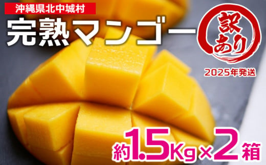 【2025年発送】訳あり品！沖縄県北中城村　完熟マンゴー　約1.5kg×2箱 北中城村 先行予約 訳あり 訳アリ フルーツ 果物 くだもの アップルマンゴー アーウィン種 冷蔵 JA 家庭用 お試し 美味しい 沖縄 生産者応援 フードロス 人気 おすすめ お取り寄せ 1491707 - 沖縄県北中城村