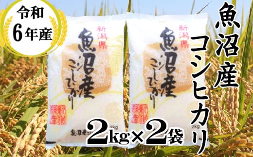 KU10P375 令和6年産 魚沼産コシヒカリ 2kg2袋 和紙製P袋（小千谷米穀）白米 魚沼 米 魚沼産 新潟県 小千谷市 772790 - 新潟県小千谷市