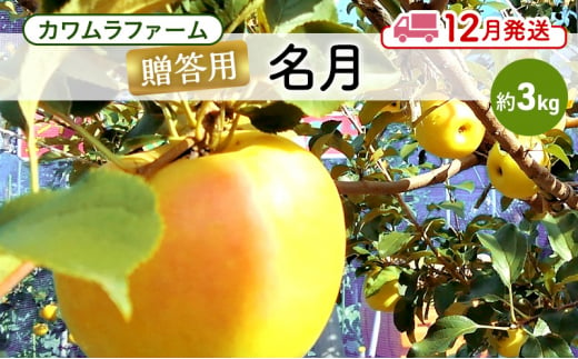 りんご 【12月発送】カワムラファーム 贈答用 名月 約3kg 【弘前市産 青森りんご】 青森 弘前 1492925 - 青森県弘前市