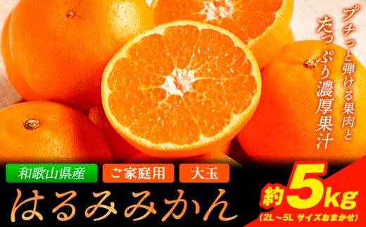 【2025年分先行予約】【大玉】ご家庭用 和歌山産はるみ約5kg【2L~5L サイズお任せ】《2025年3月上旬-4月上旬頃より出荷予定》 紀の川市厳選館 和歌山県 紀の川市 フルーツ 果物 はるみ みかん