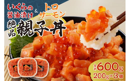 北海道産 いくら 醤油漬け （鮭卵）とトロサーモンの絶品！ 親子丼 セット 600g（200ｇ×３個）水産 海鮮 魚卵 魚介 お取り寄せ グルメ  サーモン トロサーモン 3パック ご飯にのせるだけ 冷凍 北海道 札幌市 - 北海道札幌市｜ふるさとチョイス - ふるさと納税サイト