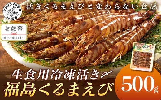 〔お歳暮ギフト対象品〕生食用冷凍活き〆福島くるまえび500g[B2-134] 車海老 車エビ クルマエビ くるまえび えび エビ 海老 生食用 甲殻類 海産物 お刺身 冷凍 活き〆車えび おかず