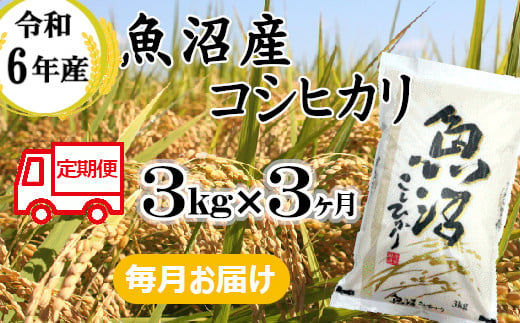 KU25P381 令和6年産 魚沼産コシヒカリ定期便 3kg×3回[毎月お届け] 和紙製P袋 (小千谷米穀)白米 魚沼 米 定期便