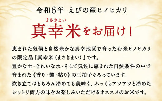 令和6年度】新米 限定品 えびの産 ヒノヒカリ 真幸米(まさきまい) 10kg (5kg×2袋) 米 ひのひかり お米 精米 白米 おにぎり お弁当  宮崎県産 九州産 送料無料 冷めても美味しい - 宮崎県えびの市｜ふるさとチョイス - ふるさと納税サイト